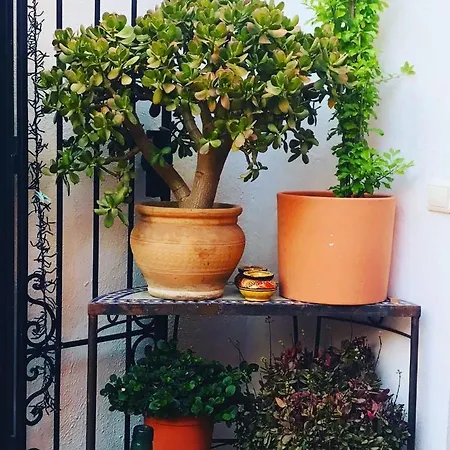 Casa Aire De Lecrin Bed & Breakfast 3*